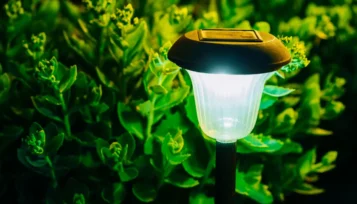 are solar lights bad for plants?